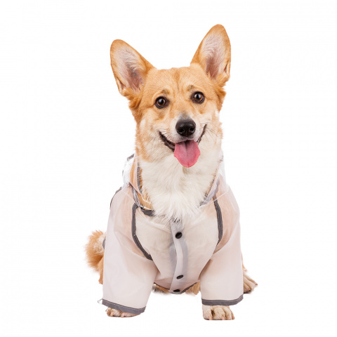 Дождевик для собак с капюшоном 4XL прозрачный (унисекс) 1