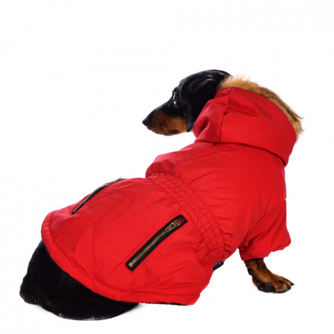 Куртка приталенная с меховым капюшоном для собак XS красный (унисекс) 2
