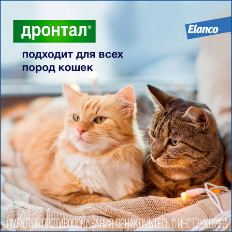 Дронтал Таблетки от гельминтов для кошек всех пород 1-8 кг, 2 таблетки 4