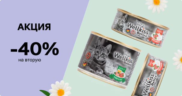 Wellkiss: -40% на 2-й влажный корм для кошек
