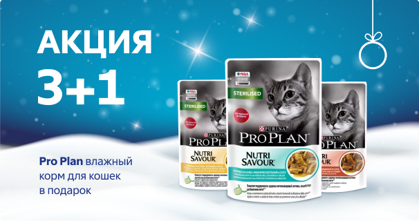 Pro Plan: 3+1 влажный корм для кошек в подарок