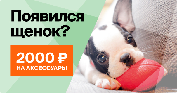 Дарим 2000 бонусных рублей при покупке корма для щенков