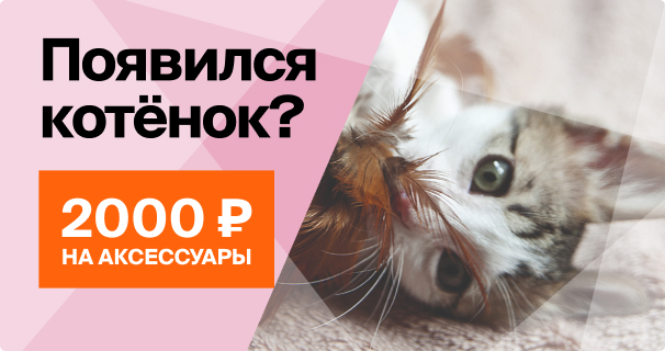 Дарим 2000 бонусных рублей при покупке корма для котят