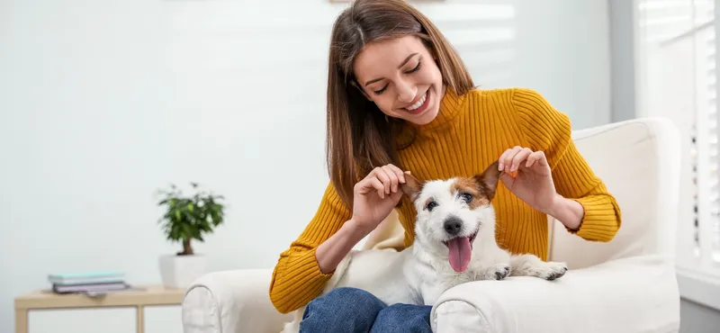 «Синулокс» для собак: инструкция по применению