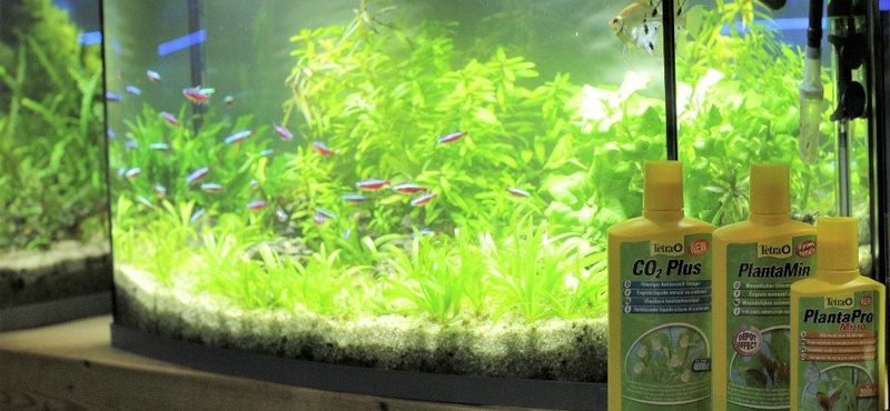 Какие удобрения нужны аквариумным растениям?