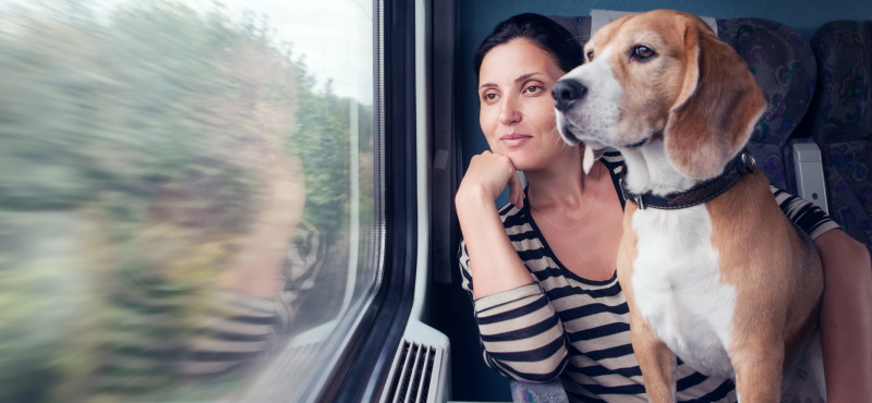 Путешествие с собакой в поезде: о чем важно знать