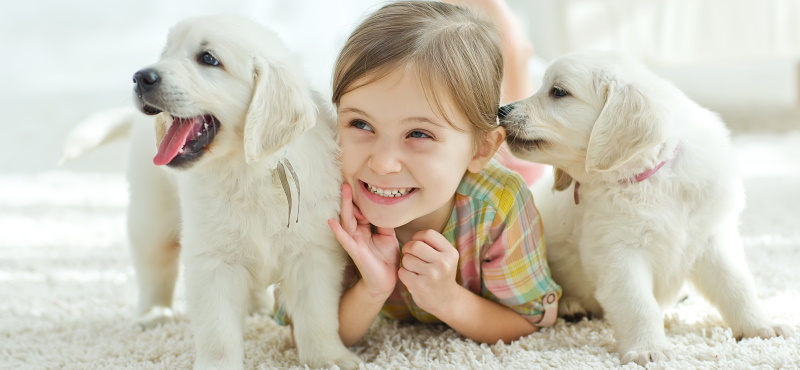 Собаки для детей: обзор пород, которые подойдут ребенку