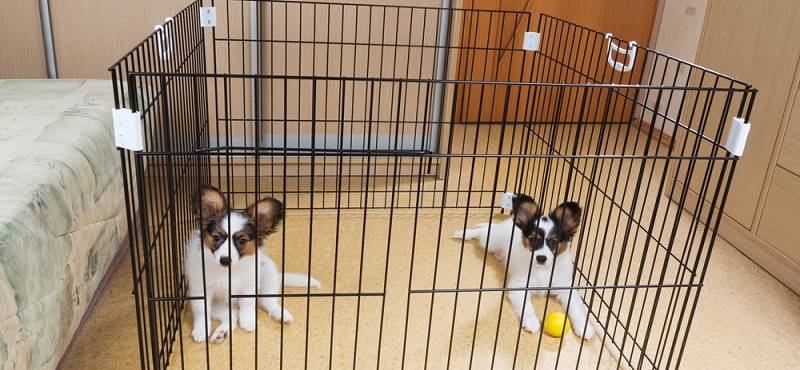 Вольер для собаки в квартиру — купить в Москве, цены на манежи и ограждения для щенков