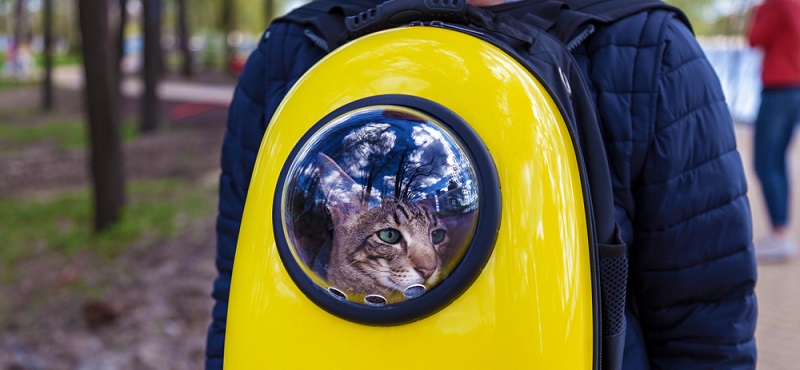 Купить сумки-переноски для кошек в интернет магазине MyPet-Online
