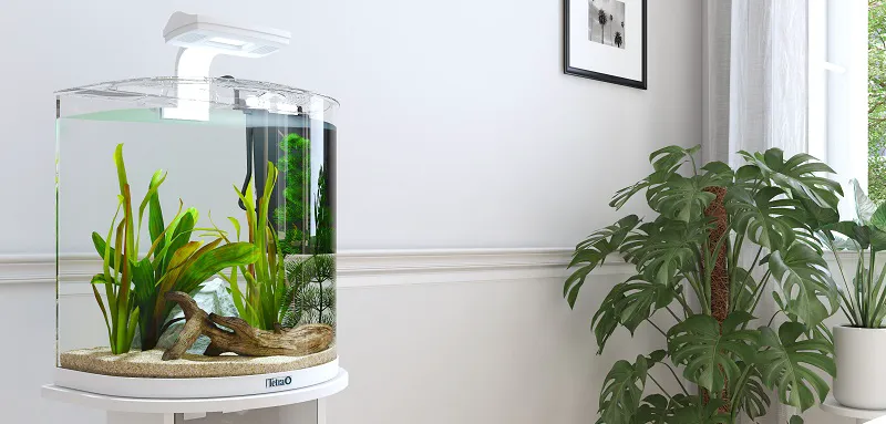 Хочу аквариум! Что нужно знать?