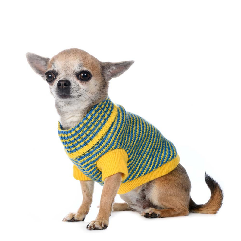 Свитер для собак желто-зеленый полосатый 30см 6