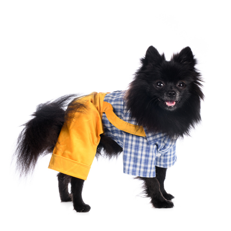 Костюм XS для собак желтый с рубашкой 5