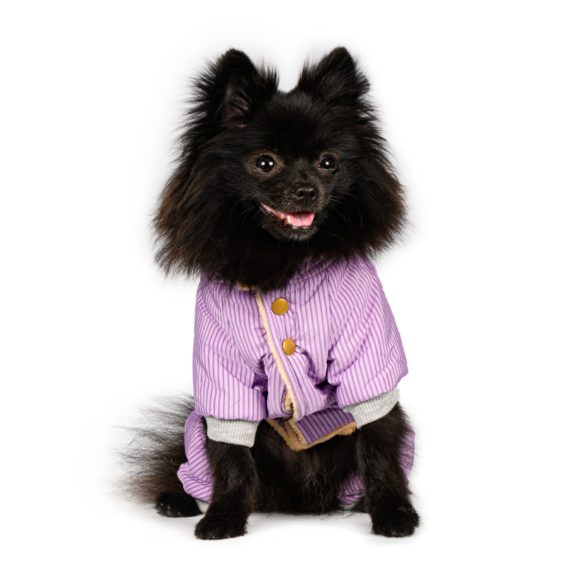Комбинезон для собак фиолетовый полосатый девочка L 1