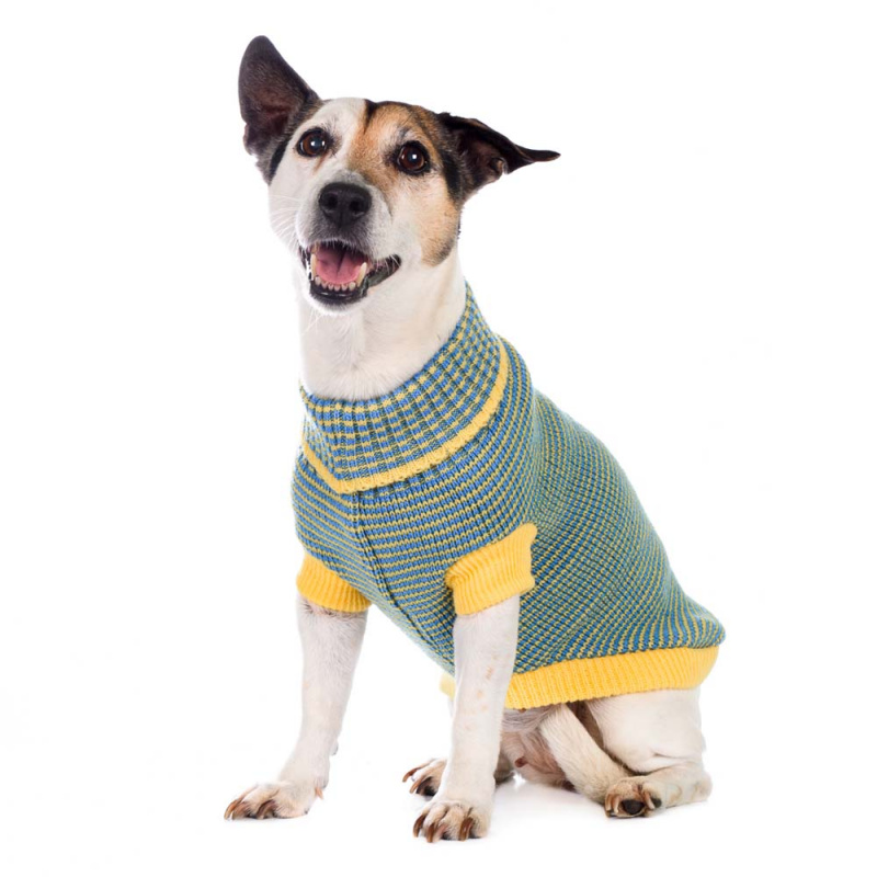 Свитер для собак желто-зеленый полосатый 45м 1