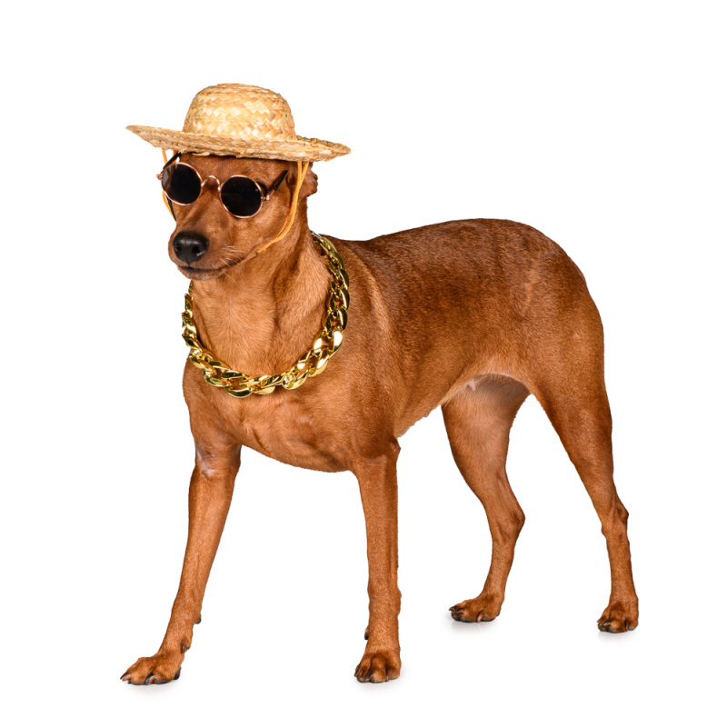Шляпа Собака 2 цвета на резинке () - купить по оптовым ценам