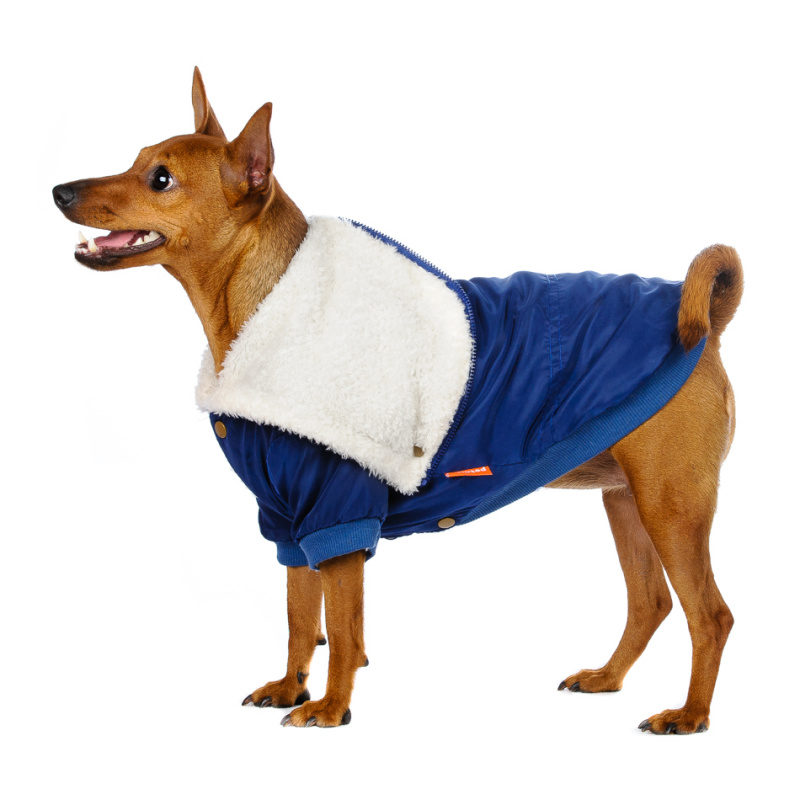 Куртка для собак синяя