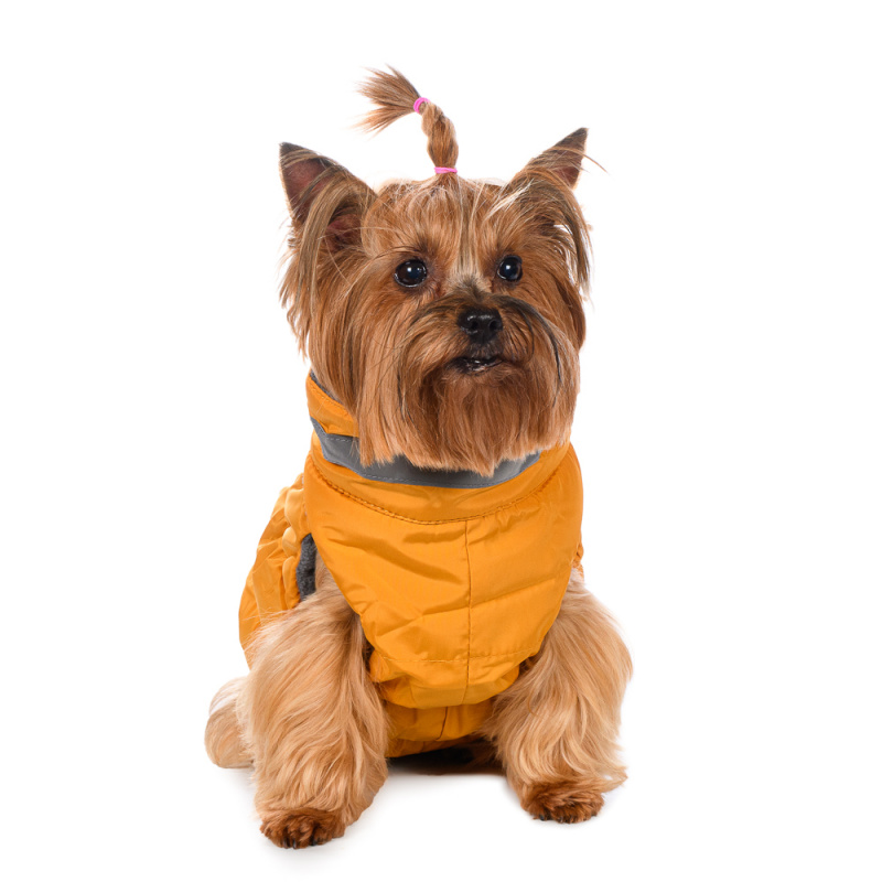 Куртка для собак на молнии желтая 1