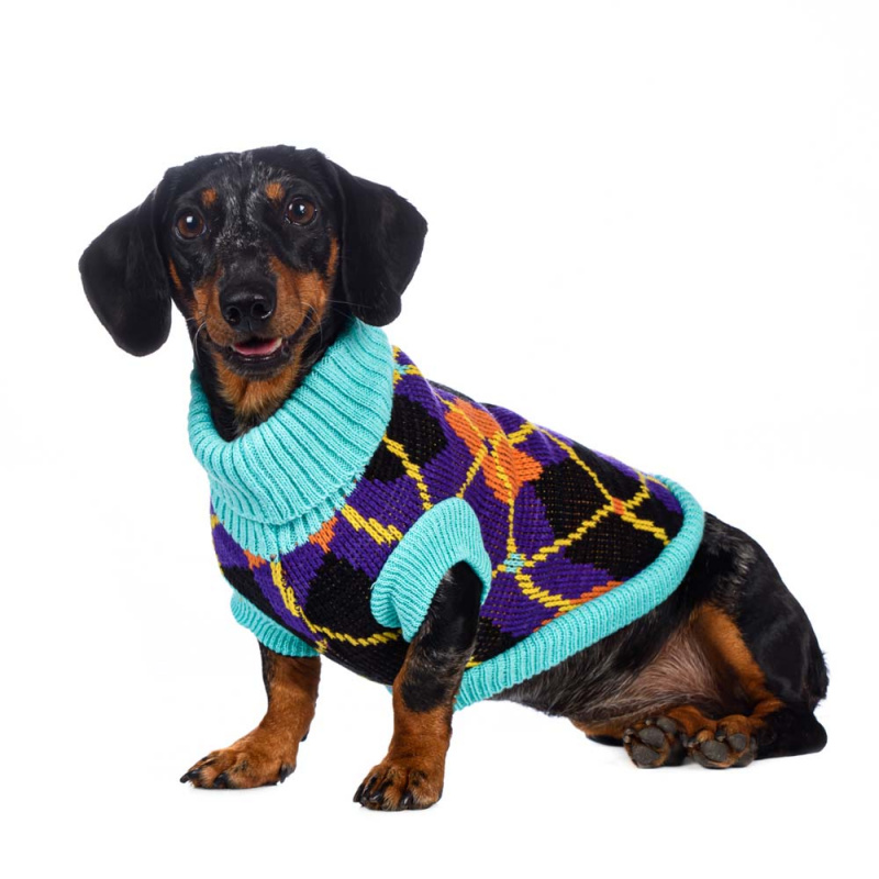 Свитер для собак черно-фиолетовый 40см 3
