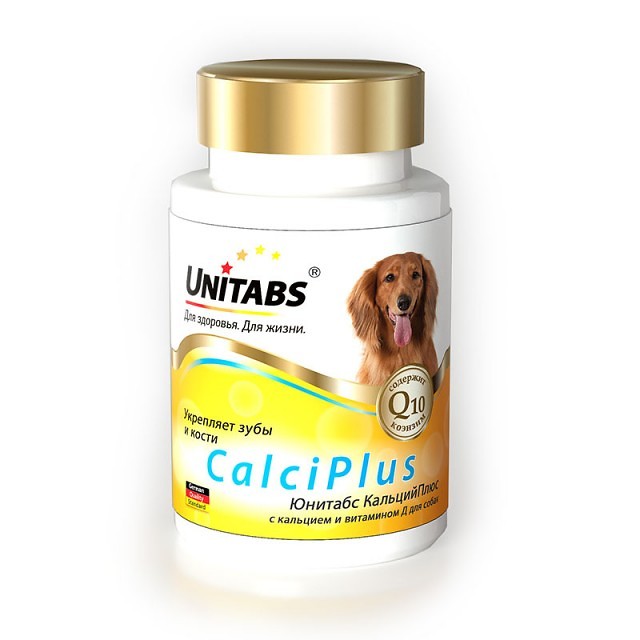 Значение витамина C для здоровья собак: почему он незаменим