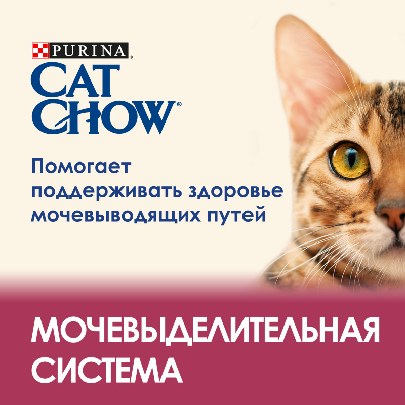 Сухой корм для взрослых кошек для здоровья мочевыводящих путей, с высоким содержанием домашней птицы, 15 кг 8