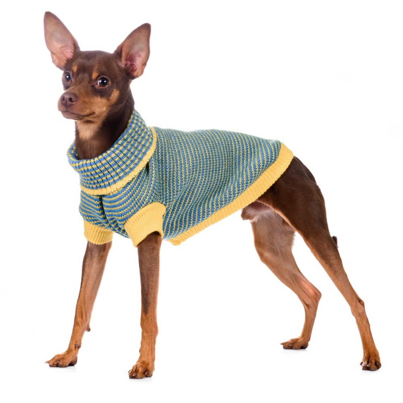 Свитер для собак желто-зеленый полосатый 20см 3