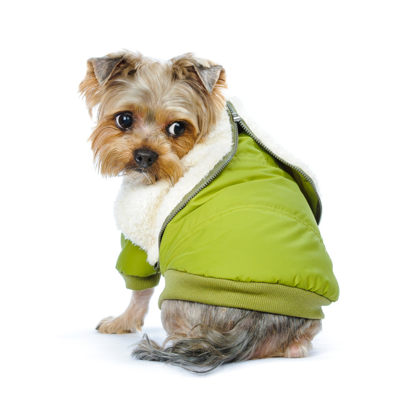 Куртка для собак оливковая 1
