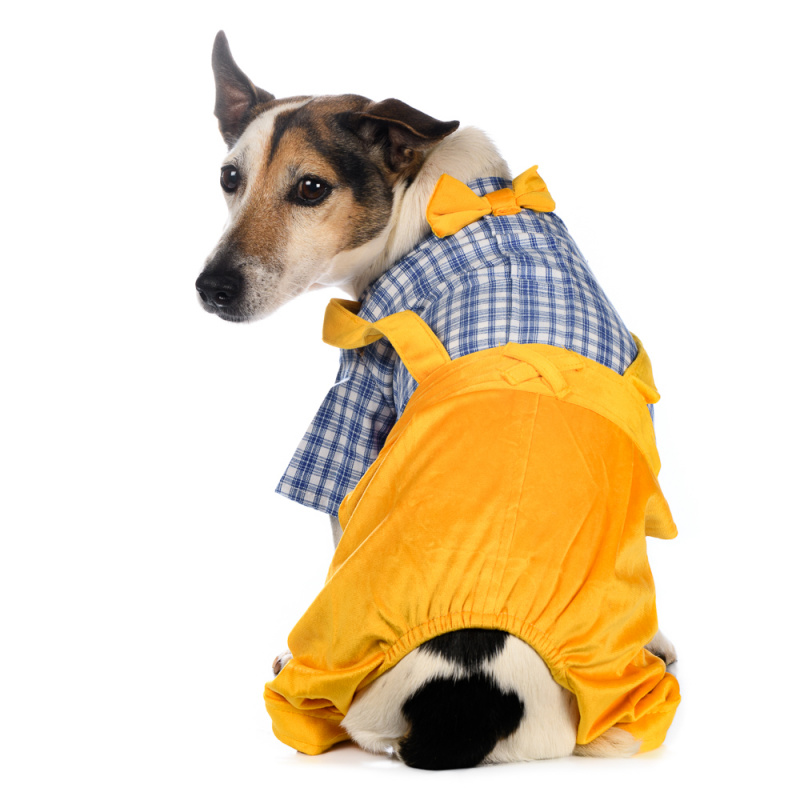 Костюм L для собак желтый с рубашкой 9