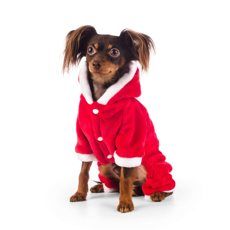 Комбинезон для собак велюровый бордовый Дед Мороз