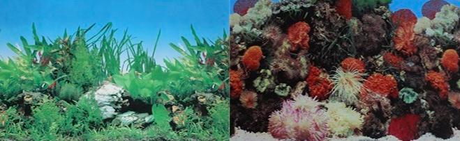 фон для аквариума двусторонний Кораллы/Растительный 50х100см(9001/9003)