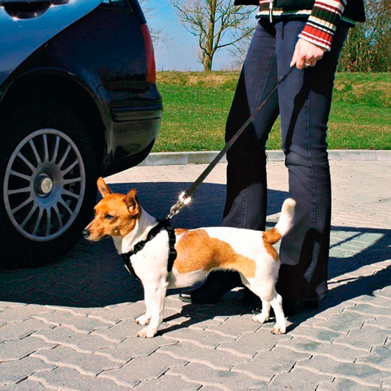 А/м ремень безопасности со шлейкой для собак 20-50 см 1