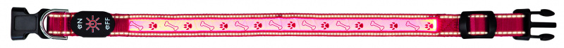 Светящийся ошейник для собак USB, L–XL: 50–60 см/25 мм, красный 1