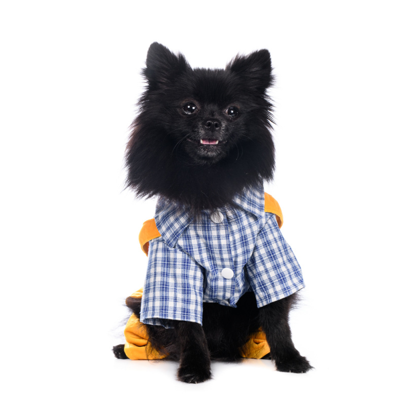 Костюм XL для собак желтый с рубашкой 6