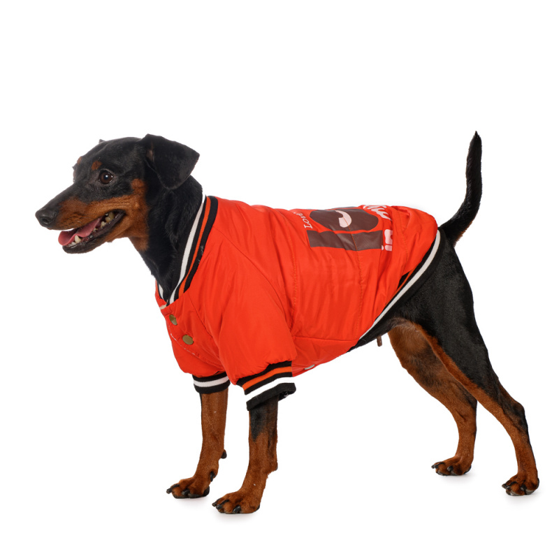Куртка оранжевая Look XL