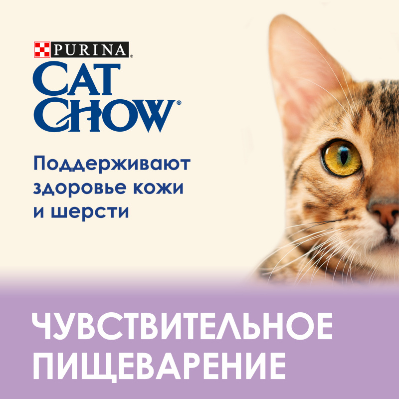 Сухой корм для кошек с чувствительным пищеварением, с высоким содержанием домашней птицы, с лососем, 15 кг 4