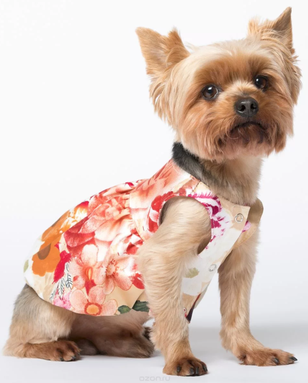 Платье для собак Йорики Французские мотивы размер M