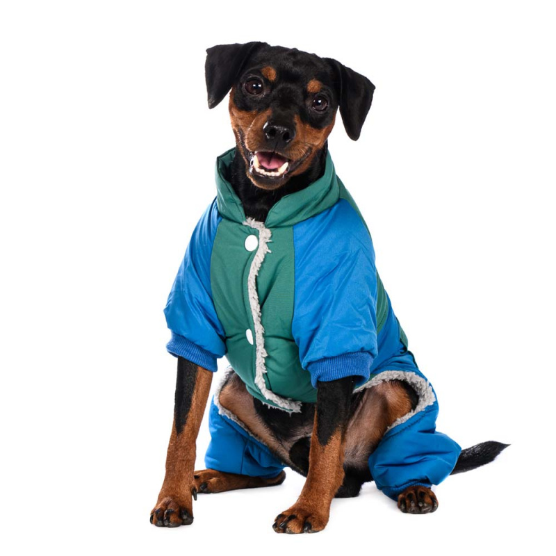 Комбинезон для собак голубо-зеленый M 3