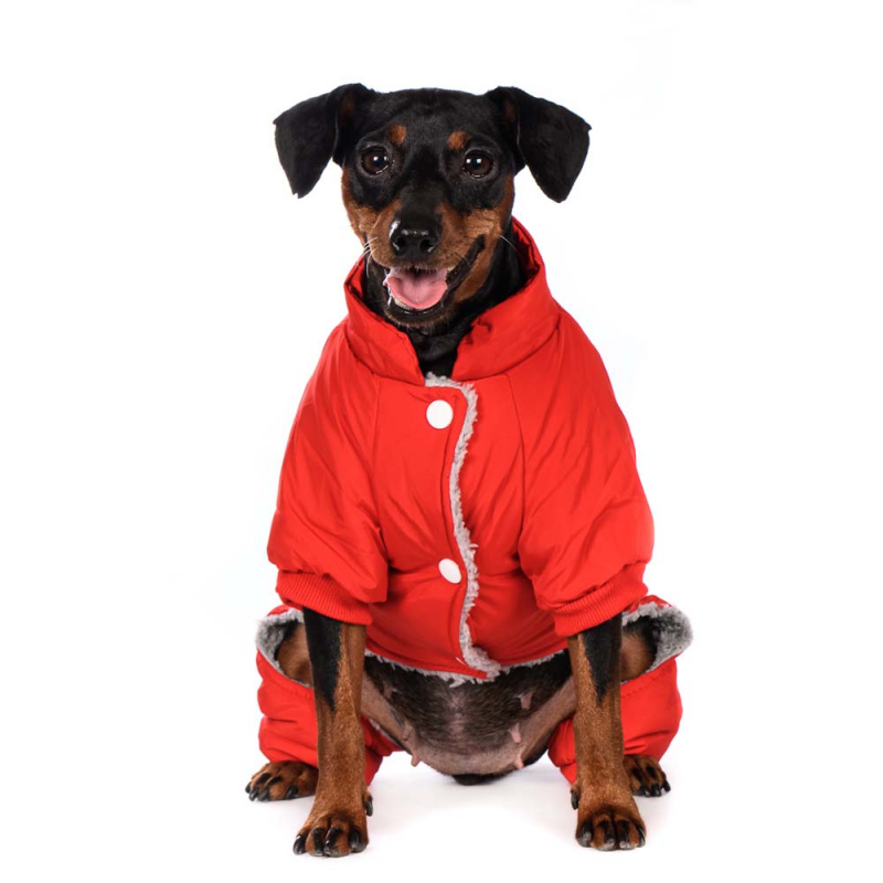 Комбинезон для собак красный Sport Dog XS 4