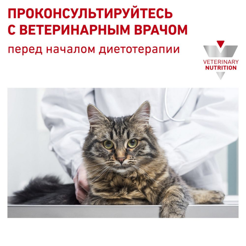 Renal кусочки в соусе для кошек при лечении почечной недостаточности, 85 г 7