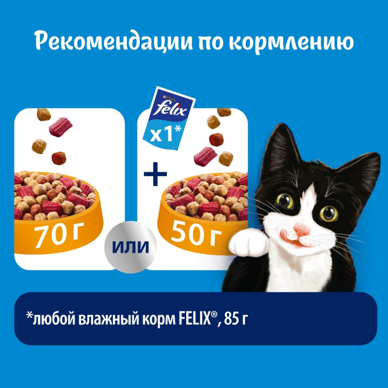 Сухой корм Двойная Вкуснятина для взрослых кошек, с мясом, 300 г 7