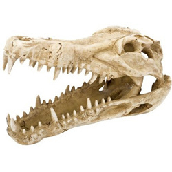 Декорация для аквариума Череп крокодила пластик 22,9х10,1х14 см