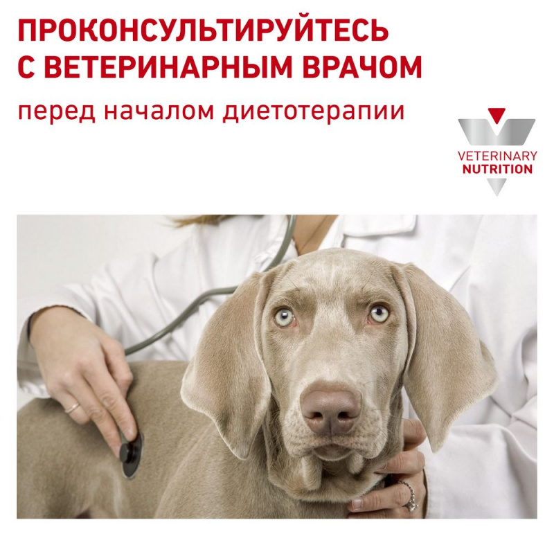 Skin Care Adult Small Dog для взрослых собак до 10кг при дерматозах, 4кг 8