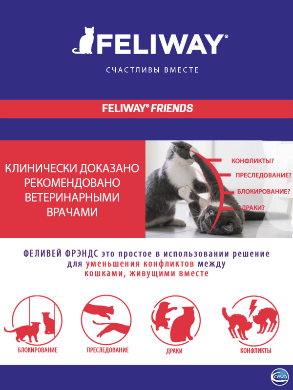 Feliway Friends феромоны для кошек, флакон 48 мл + диффузор 1