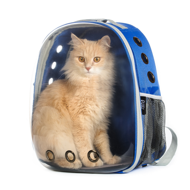 Рюкзак переноска для кошек и собак прозрачный синий 33x28x44 см
