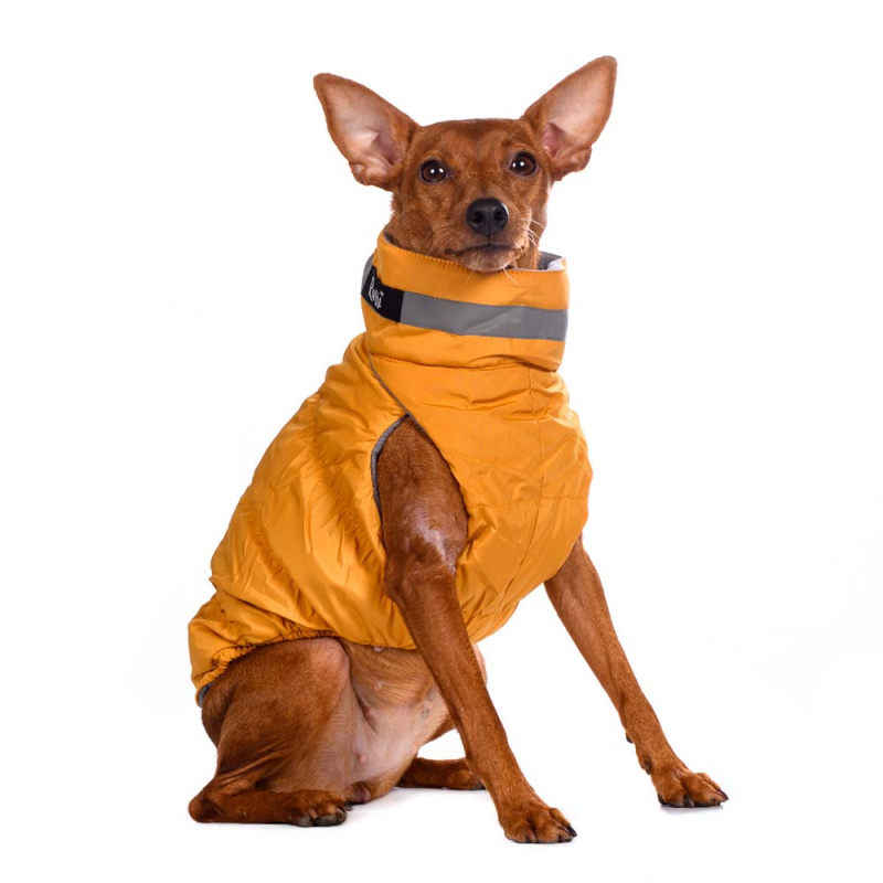 Куртка для собак на молнии желтая 4