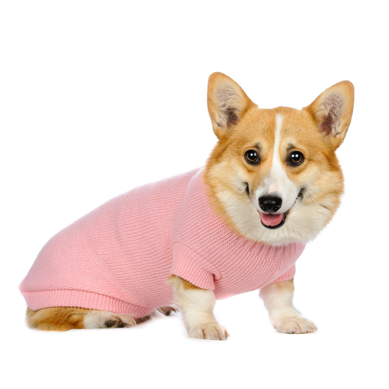 Свитер для собак розовый с кружевом