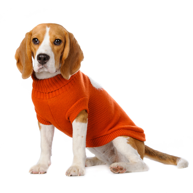 Свитер для собак оранжевый с сердцем 1