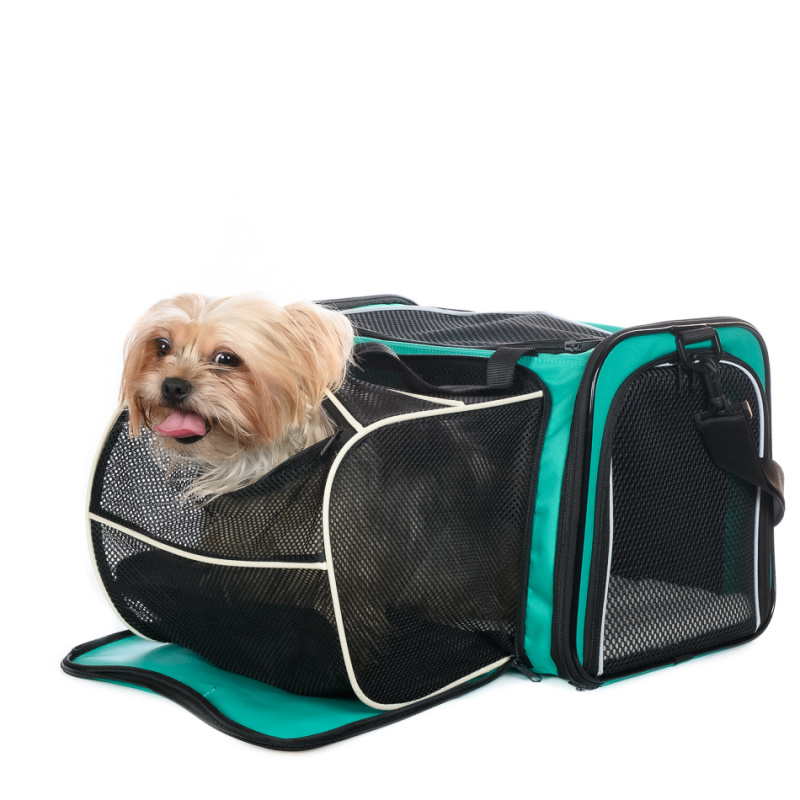 4 лапы сумки переноски для собак