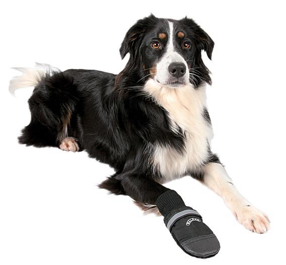 Обувь для собак Walker Professional тапок из неопрена размер M 2 шт. 1