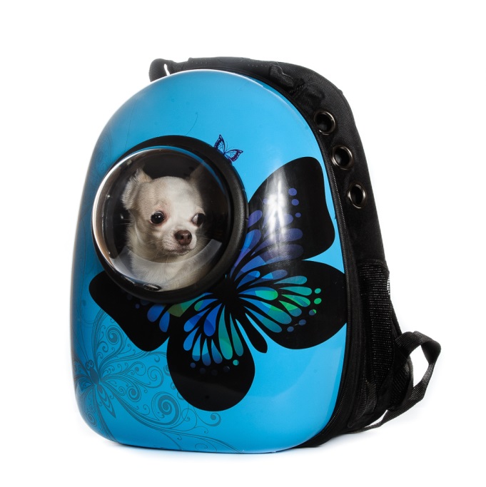 Рюкзак переноска для кошек и собак синий с бабочкой 30x28x44 см