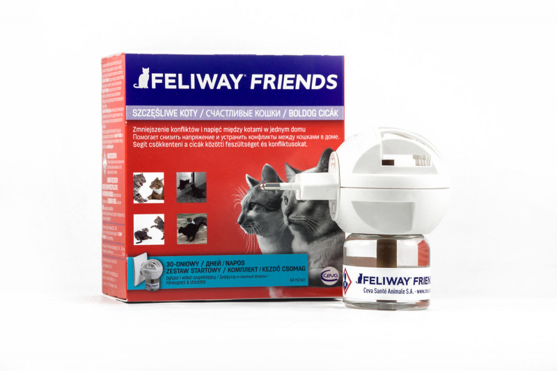 Feliway Friends феромоны для кошек, флакон 48 мл + диффузор